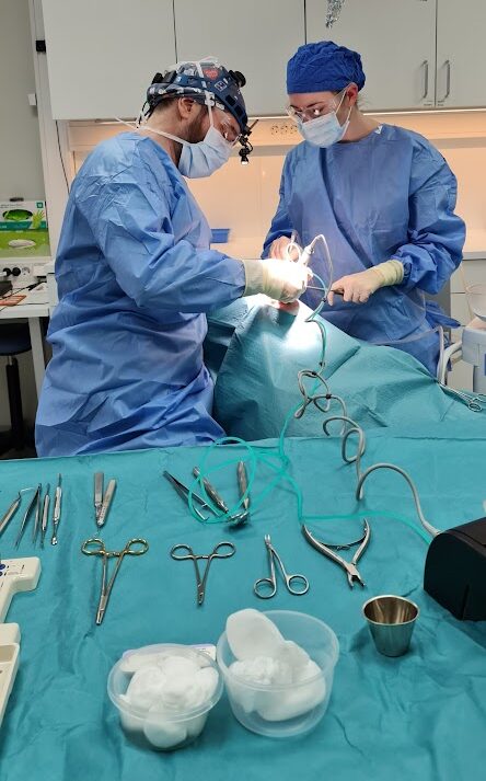 Bilde av 2 tannleger som jobber med en pasient